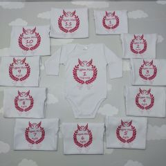 12 Aylık Pembe Desenli Zıbın Seti