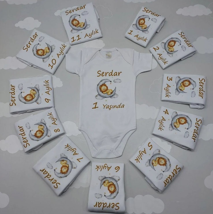 12 Aylık Aslanlı Zıbın Seti