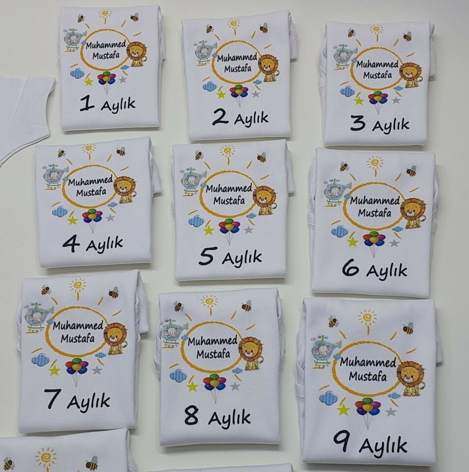 12 Aylık Aslan Helikopter Desenli Baskılı  Zıbın Seti